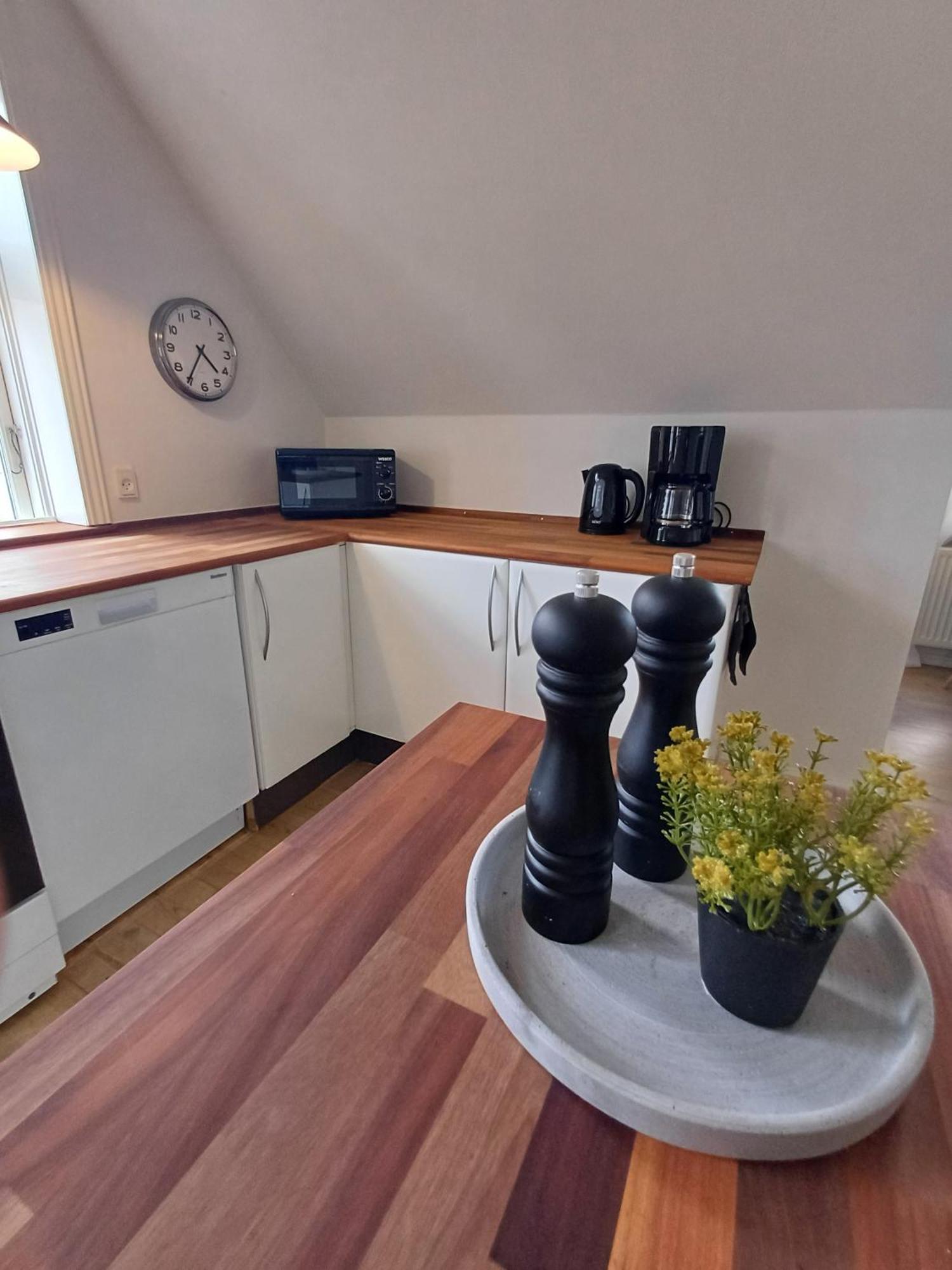 Grand Luxury Apartment In The Center Of Hoerring Hjorring Exterior photo